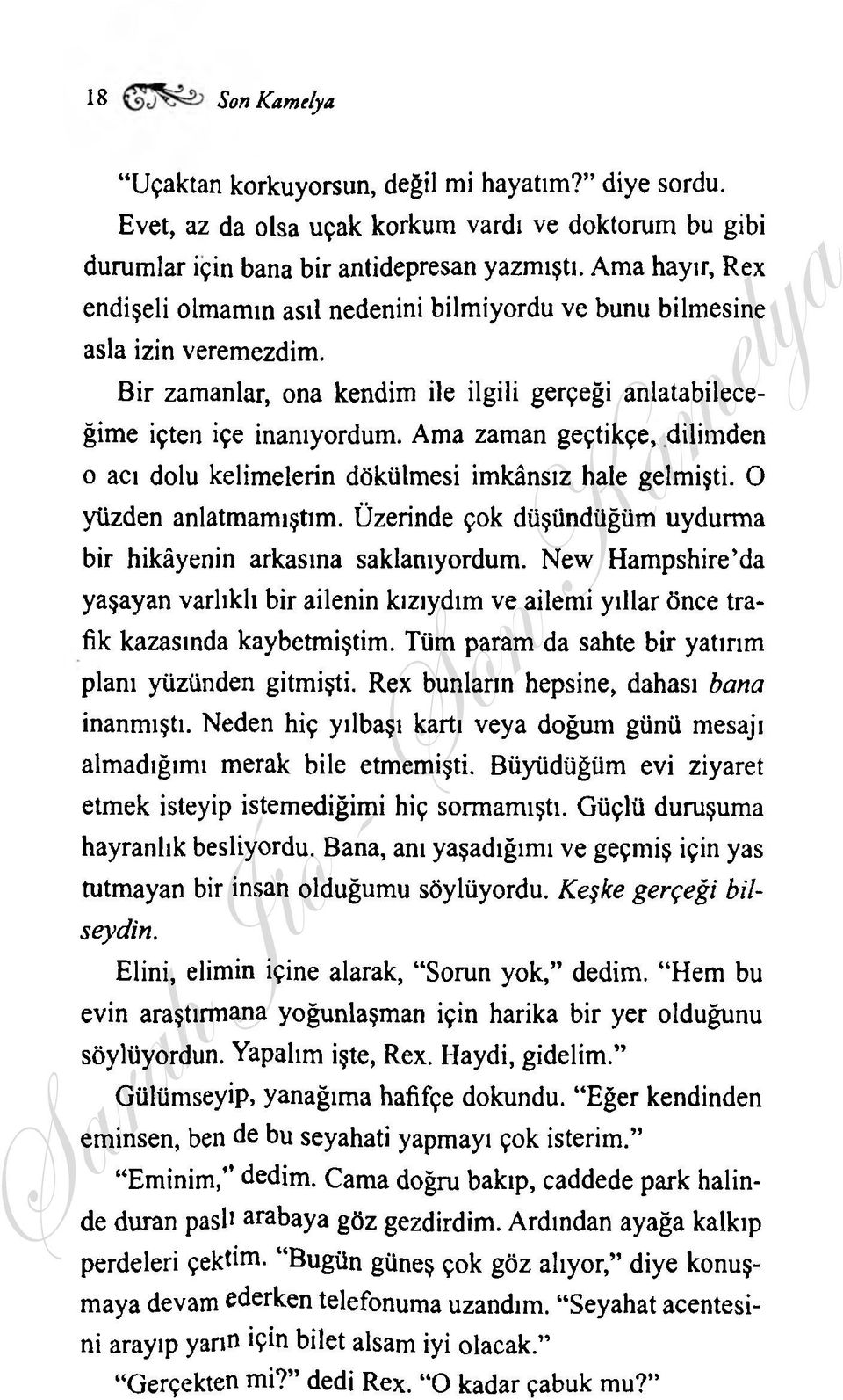 Ama zaman geçtikçe, dilimden o acı dolu kelimelerin dökülmesi imkânsız hale gelmişti. O yüzden anlatmamıştım. Üzerinde çok düşündüğüm uydurma bir hikâyenin arkasına saklanıyordum.