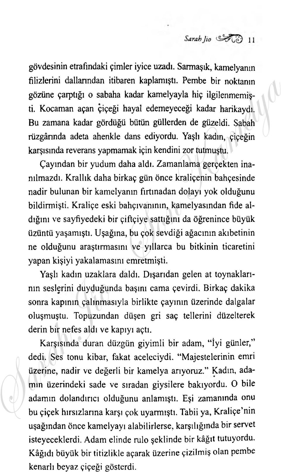 Yaşlı kadın, çiçeğin karşısında reverans yapmamak için kendini zor tutmuştu. Çayından bir yudum daha aldı. Zamanlama gerçekten inanılmazdı.