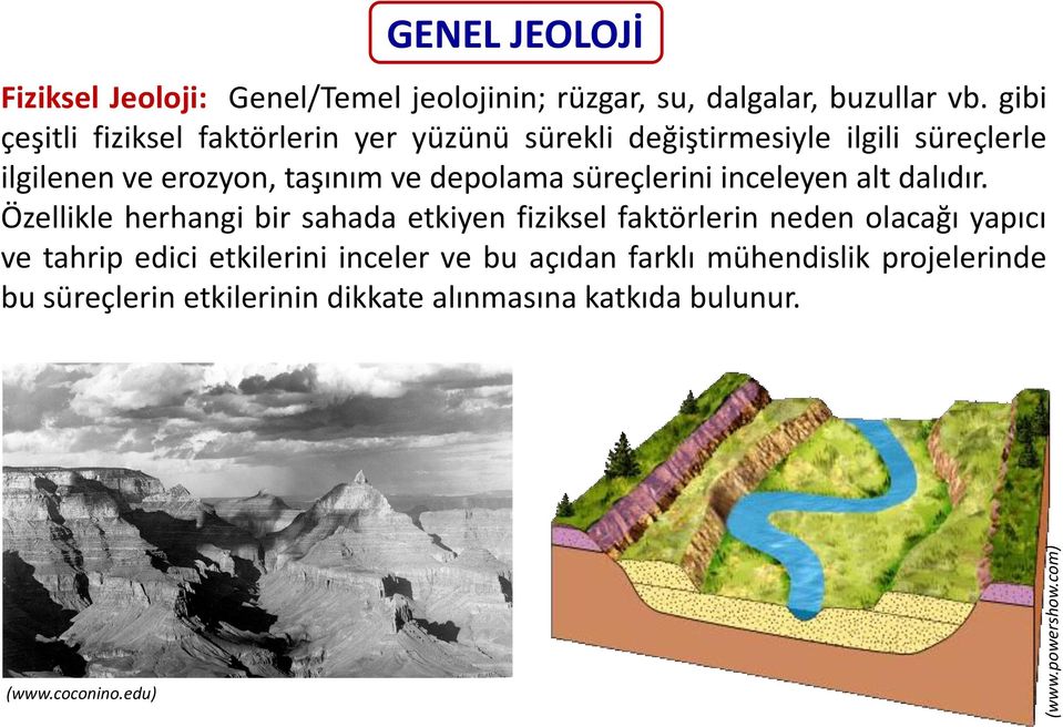 süreçlerini inceleyen alt dalıdır.