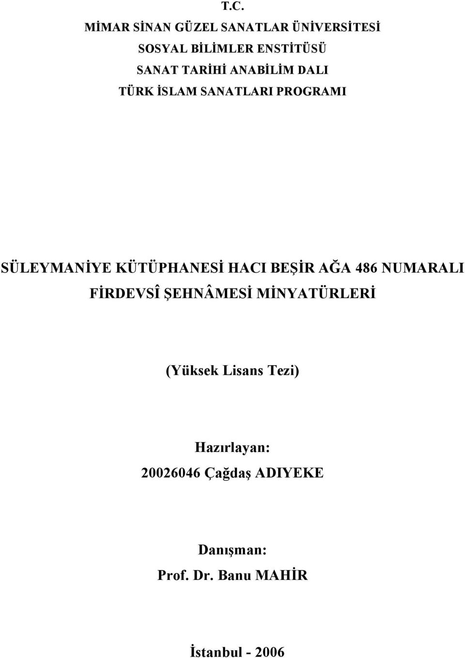 HACI BEŞİR AĞA 486 NUMARALI FİRDEVSÎ ŞEHNÂMESİ MİNYATÜRLERİ (Yüksek Lisans