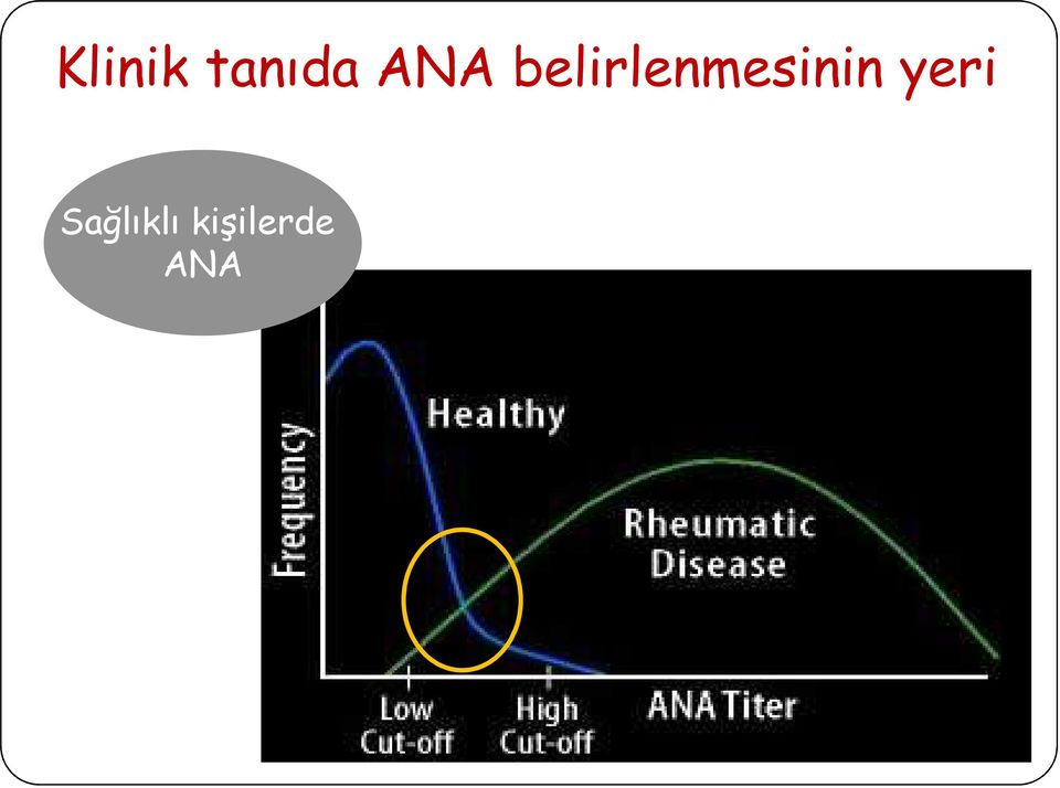 belirlenmesinin