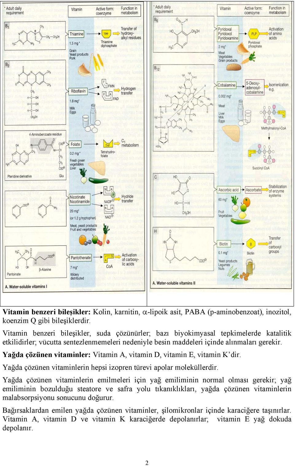 Yağda çözünen vitaminler: Vitamin A, vitamin D, vitamin E, vitamin K dir. Yağda çözünen vitaminlerin hepsi izopren türevi apolar moleküllerdir.