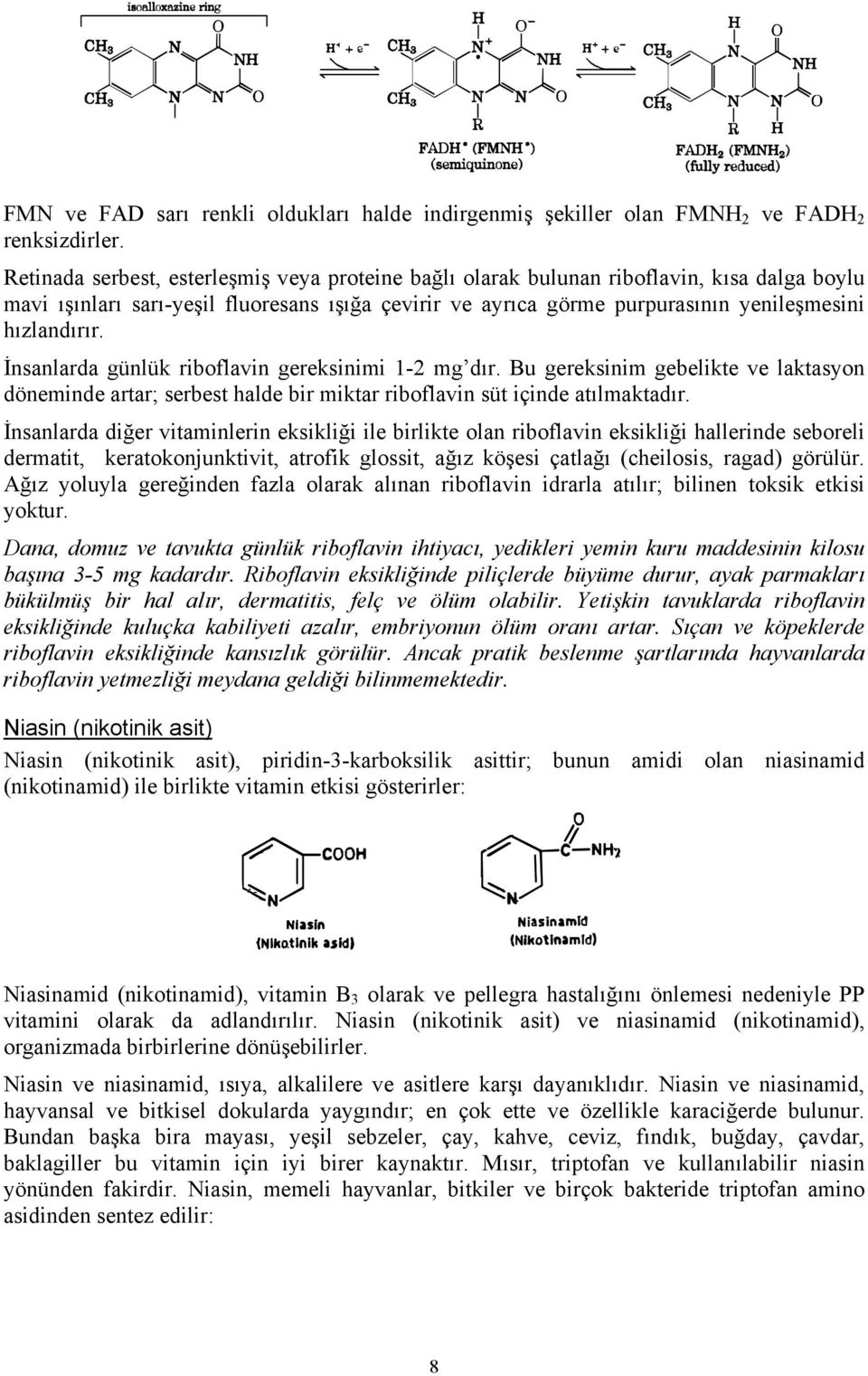 İnsanlarda günlük riboflavin gereksinimi 1-2 mg dır. Bu gereksinim gebelikte ve laktasyon döneminde artar; serbest halde bir miktar riboflavin süt içinde atılmaktadır.