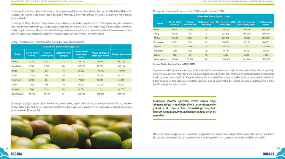 TUİK kayıtlarına göre Sumbas İlçesinde meyve vermeyen yaşta ağaç gözükmemekle birlikte son 2 yıl içerisinde ilçeye Gemlik fidanı dikimi yapıldığı tespit edilmiştir.