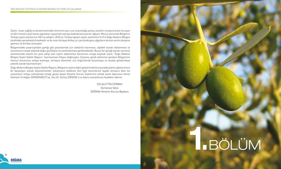 2010 yılı Türkiye toplam zeytin üretiminin %13 ü Doğu Akdeniz Bölgesi tarafından gerçekleştirilmektedir ve bu oran ilerleyen birkaç yıl içerisinde genç ağaçların da tam verim düzeyine gelmesi ile