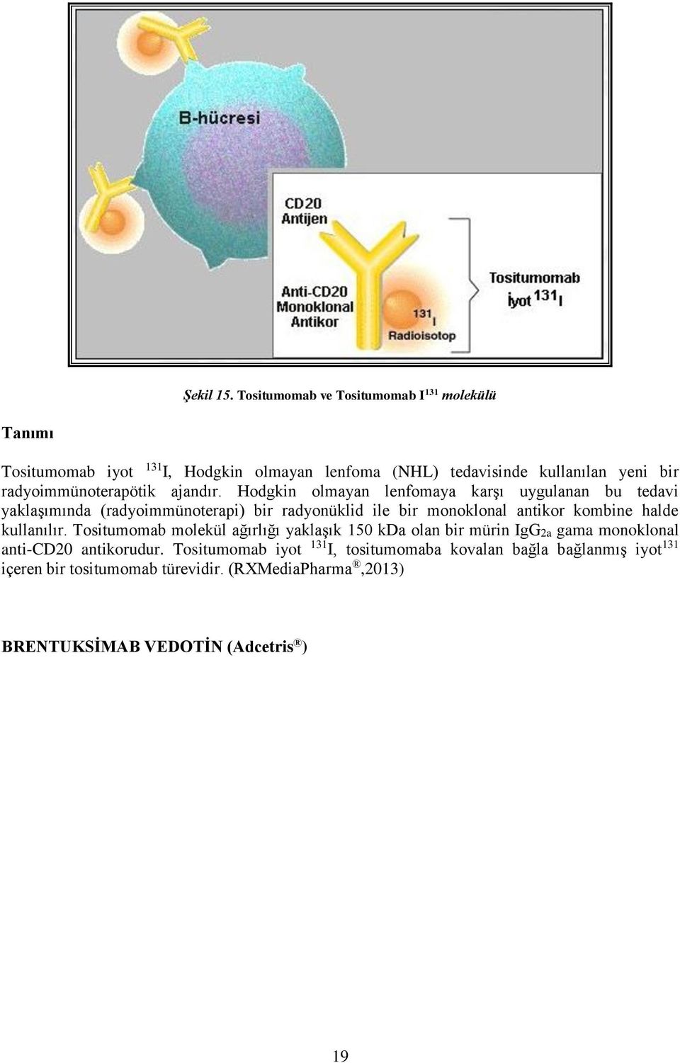 radyoimmünoterapötik ajandır.