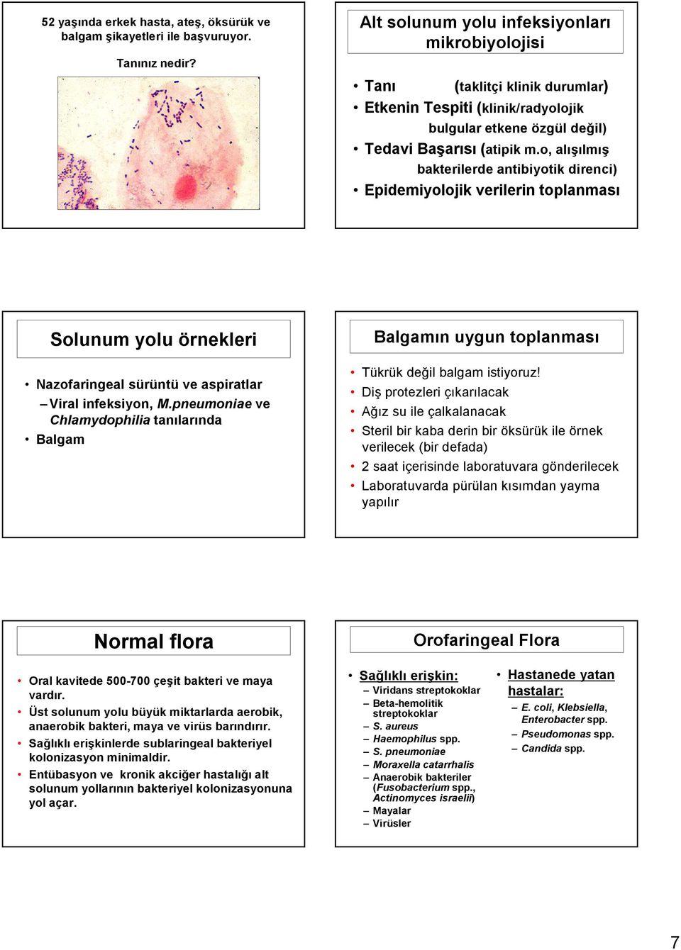 o, alışılmış bakterilerde antibiyotik direnci) Epidemiyolojik verilerin toplanması Solunum yolu örnekleri Nazofaringeal sürüntü ve aspiratlar Viral infeksiyon, M.