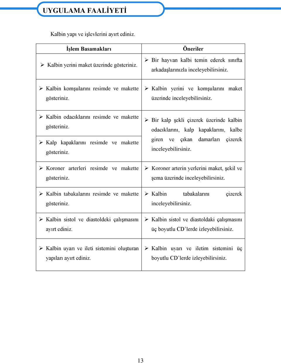 Kalbin odacıklarını resimde ve makette gösteriniz. Kalp kapaklarını resimde ve makette gösteriniz. Koroner arterleri resimde ve makette gösteriniz. Kalbin tabakalarını resimde ve makette gösteriniz.