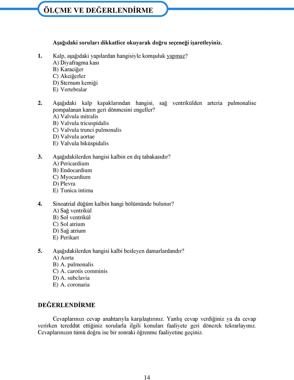 A) Valvula mitralis B) Valvula tricuspidalis C) Valvula trunci pulmonalis D) Valvula aortae E) Valvula biküspidalis 3. Aşağıdakilerden hangisi kalbin en dış tabakasıdır?