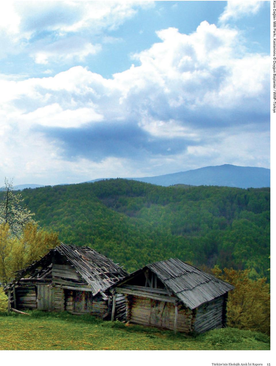 Kastamonu Duygun