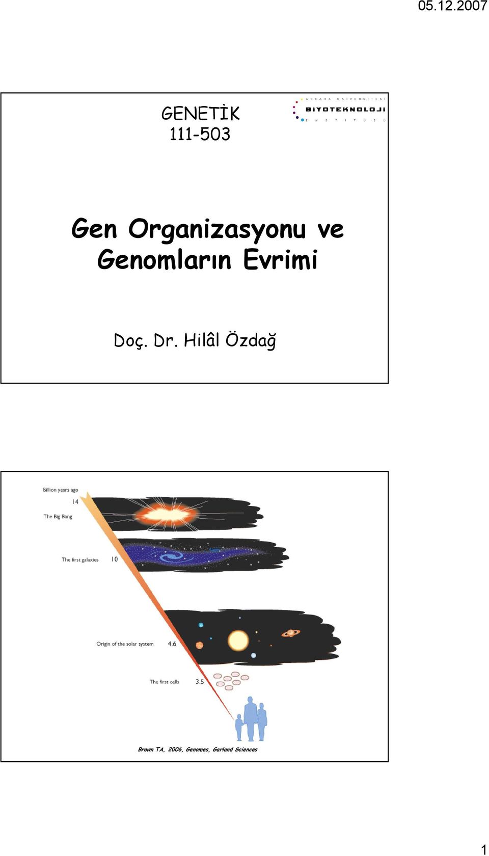 Genomların Evrimi