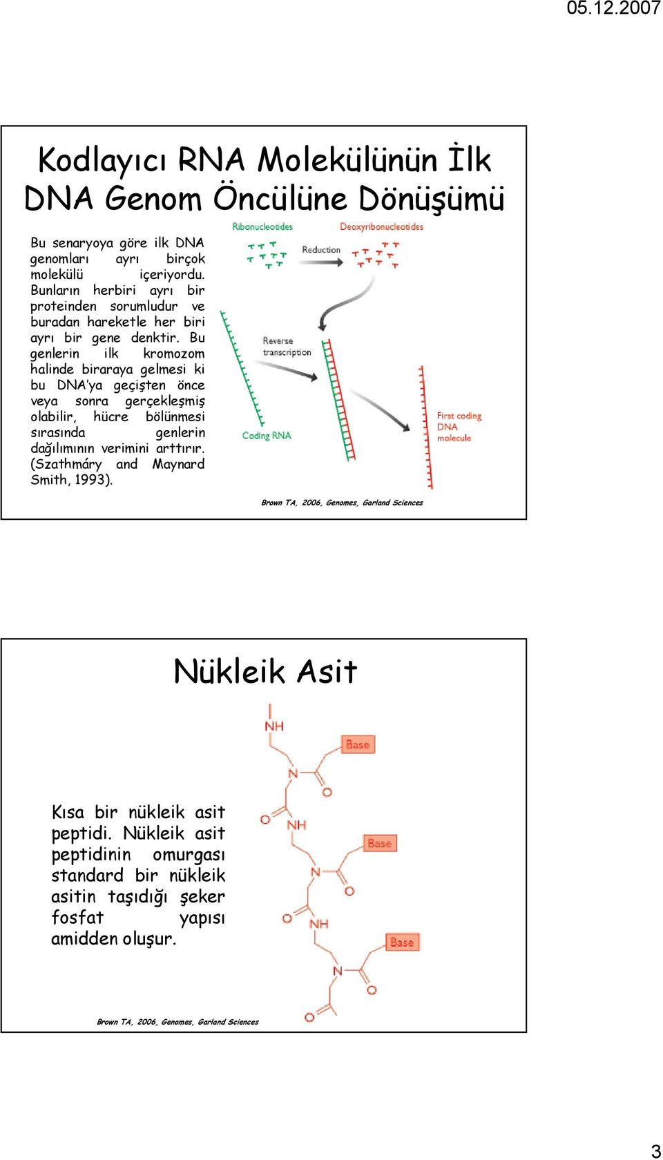 Bu genlerin ilk kromozom halinde biraraya gelmesi ki bu DNA ya geçişten önce veya sonra gerçekleşmiş olabilir, hücre bölünmesi sırasında genlerin