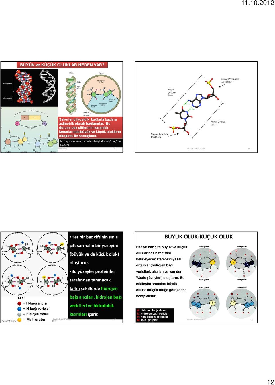 htm 10/11/2012 Erdal Balcan 45 46 H-bağı alıcısı H-bağı vericisi Hidrojen atomu Figure 7-7 Molecular Biology of the Cell ( Garland Science 2008) Her bir baz çiftinin sınırı çift sarmalın bir yüzeyini