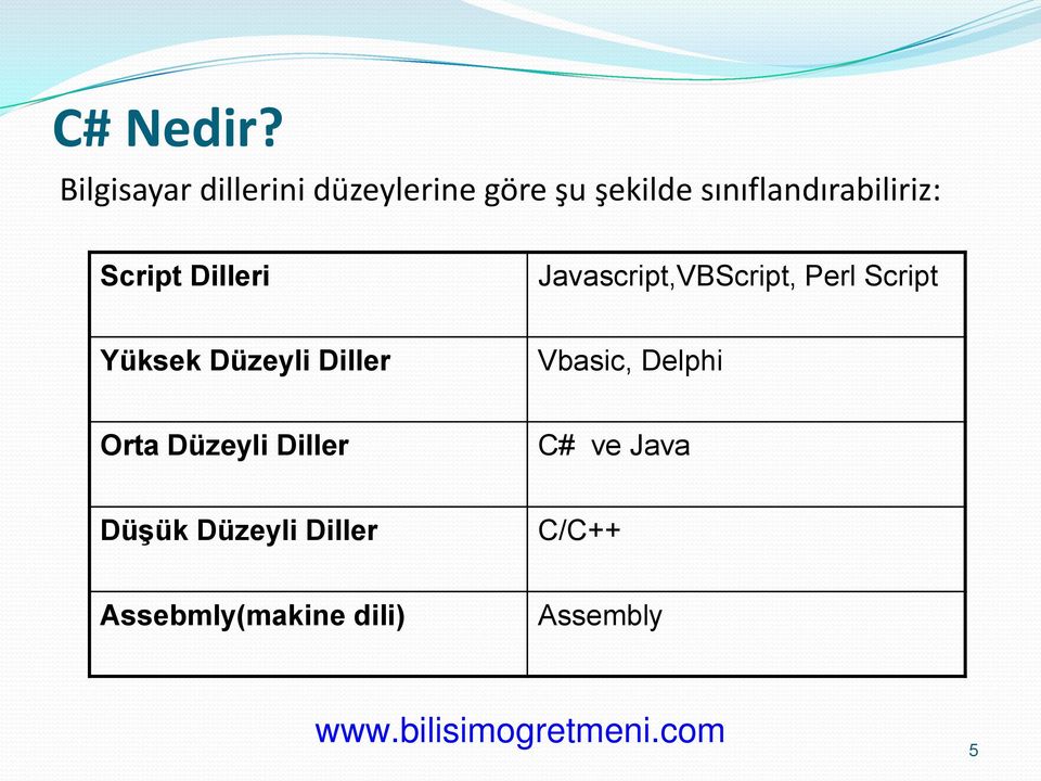 sınıflandırabiliriz: Script Dilleri Javascript,VBScript, Perl