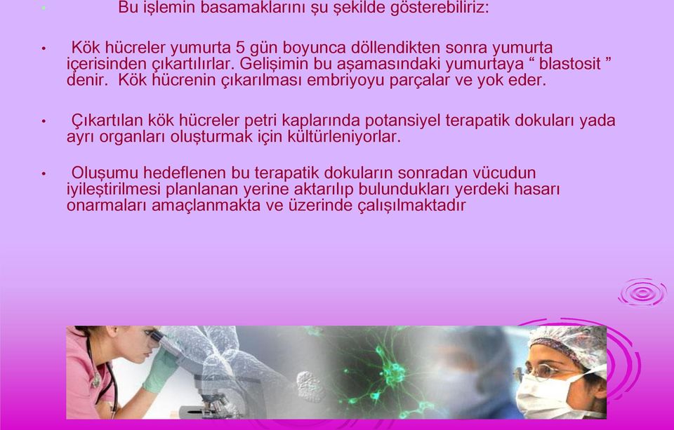 Çıkartılan kök hücreler petri kaplarında potansiyel terapatik dokuları yada ayrı organları oluşturmak için kültürleniyorlar.