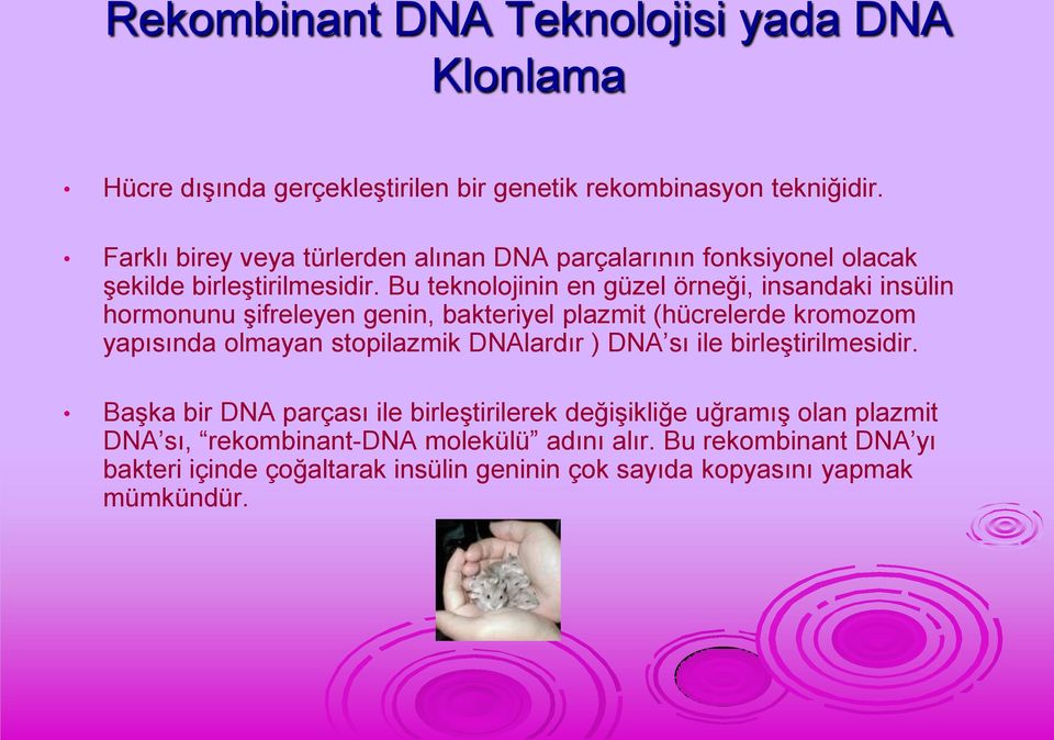 Bu teknolojinin en güzel örneği, insandaki insülin hormonunu şifreleyen genin, bakteriyel plazmit (hücrelerde kromozom yapısında olmayan stopilazmik