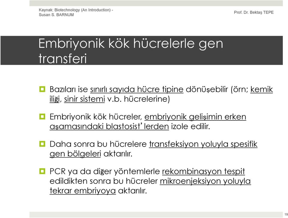 hücrelerine) Embriyonik kök hücreler, embriyonik gelişimin erken aşamasındaki blastosist lerden izole edilir.