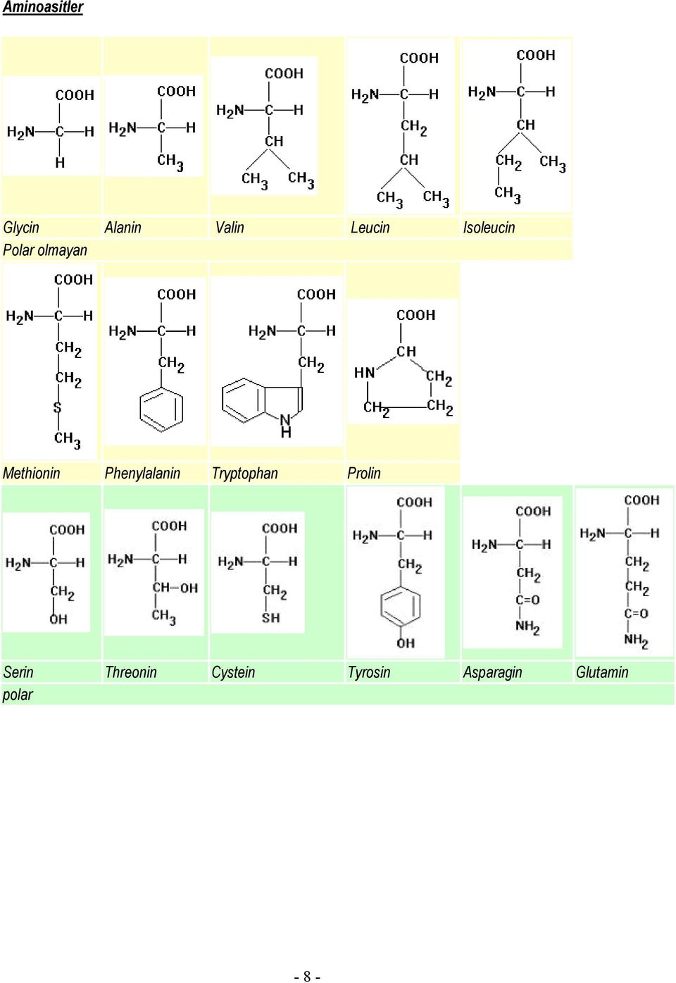 Phenylalanin Tryptophan Prolin Serin