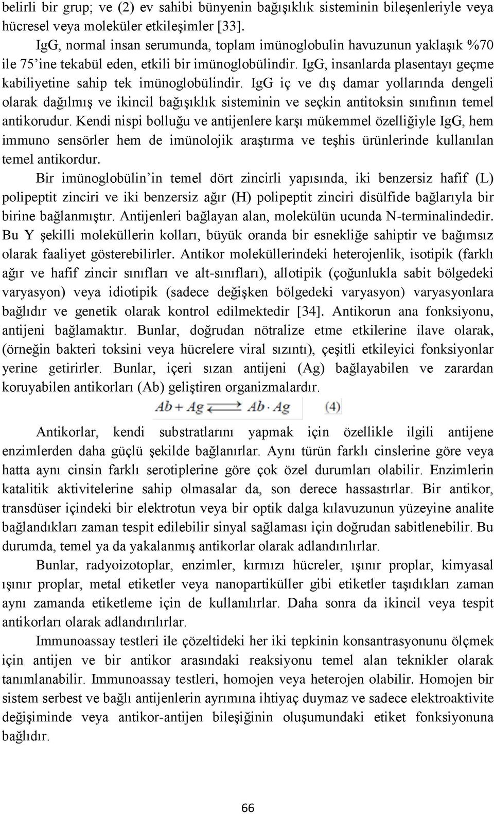 IgG iç ve dış damar yollarında dengeli olarak dağılmış ve ikincil bağışıklık sisteminin ve seçkin antitoksin sınıfının temel antikorudur.