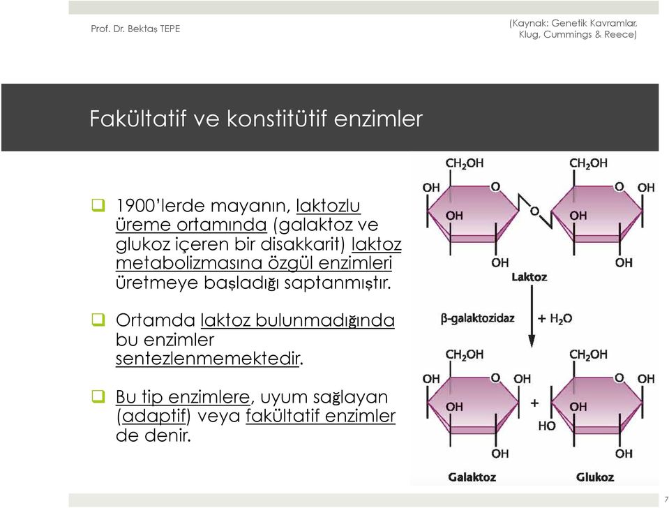 üretmeye başladığı saptanmıştır.