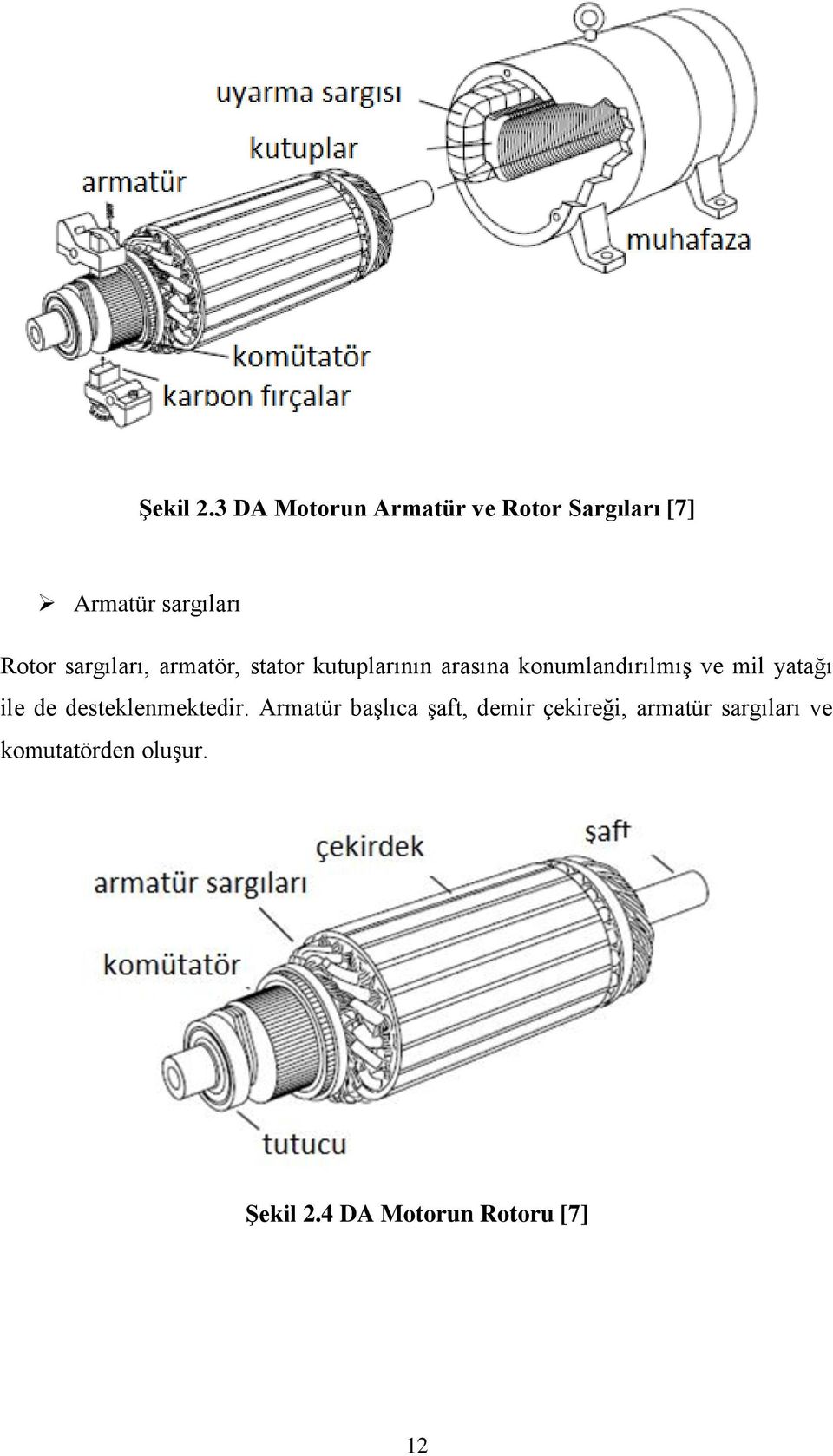 sargıları, armatör, stator kutuplarının arasına konumlandırılmış ve mil