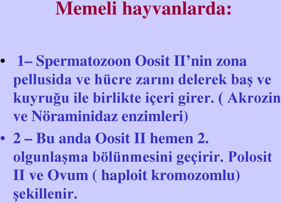 ( Akrozin ve Nöraminidaz enzimleri) 2 Bu anda Oosit II hemen 2.