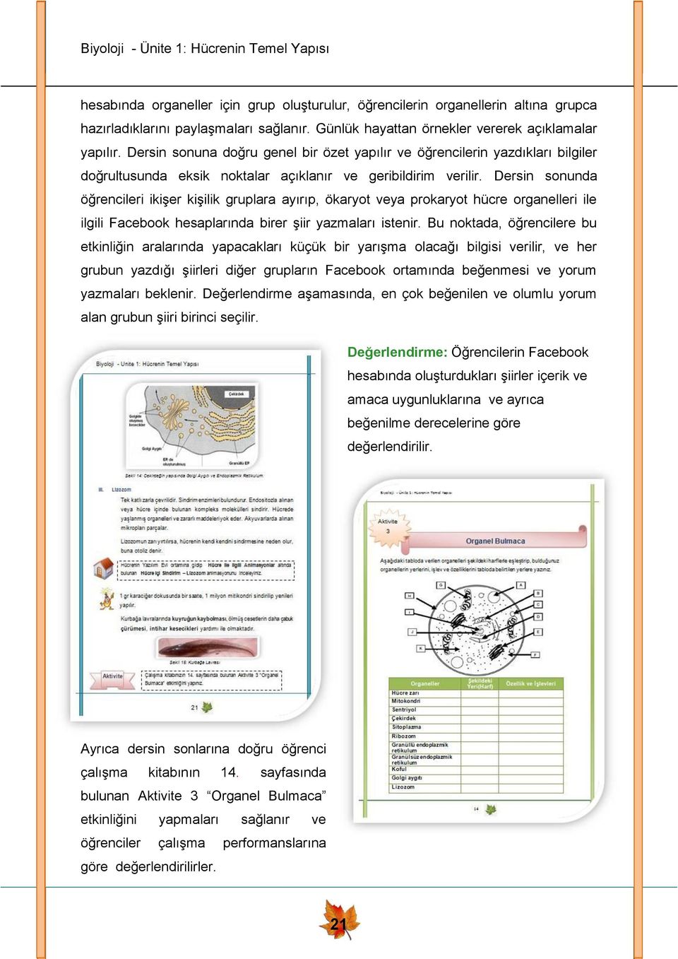 Dersin sonunda öğrencileri ikişer kişilik gruplara ayırıp, ökaryot veya prokaryot hücre organelleri ile ilgili Facebook hesaplarında birer şiir yazmaları istenir.