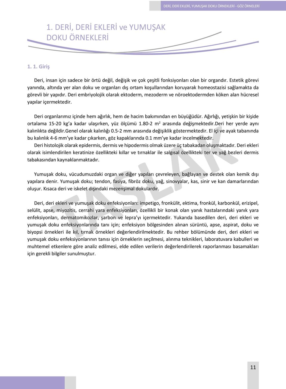 Deri embriyolojik olarak ektoderm, mezoderm ve nöroektodermden köken alan hücresel yapılar içermektedir. Deri organlarımız içinde hem ağırlık, hem de hacim bakımından en büyüğüdür.