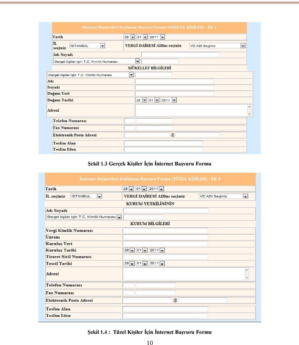 İnternet Başvuru Formu 4 :