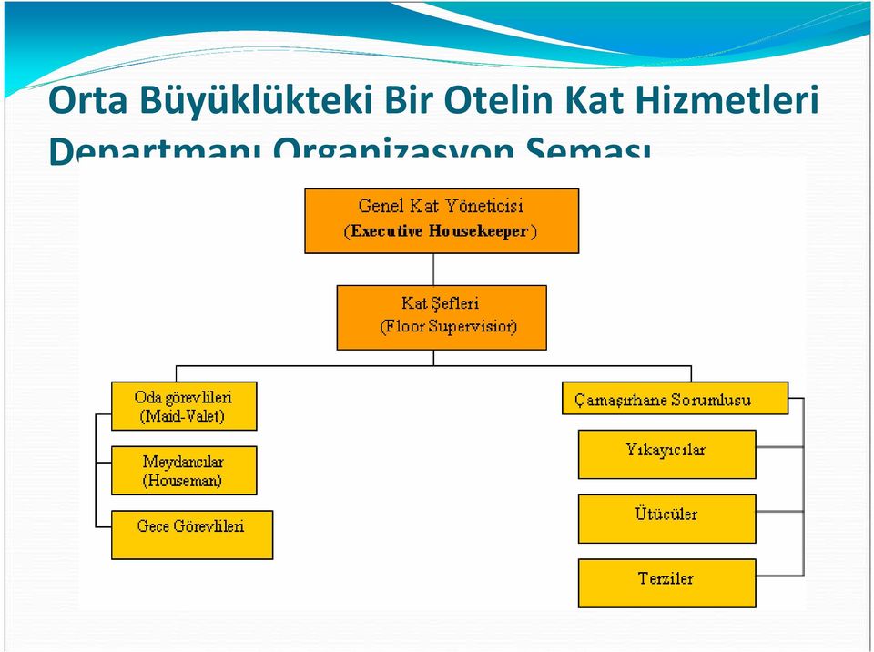 Hizmetleri