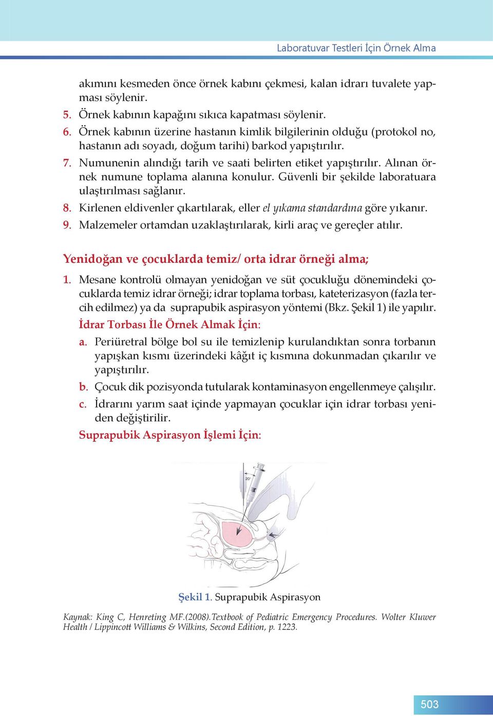 Alınan örnek numune toplama alanına konulur. Güvenli bir şekilde laboratuara ulaştırılması sağlanır. 8. Kirlenen eldivenler çıkartılarak, eller el yıkama standardına göre yıkanır. 9.