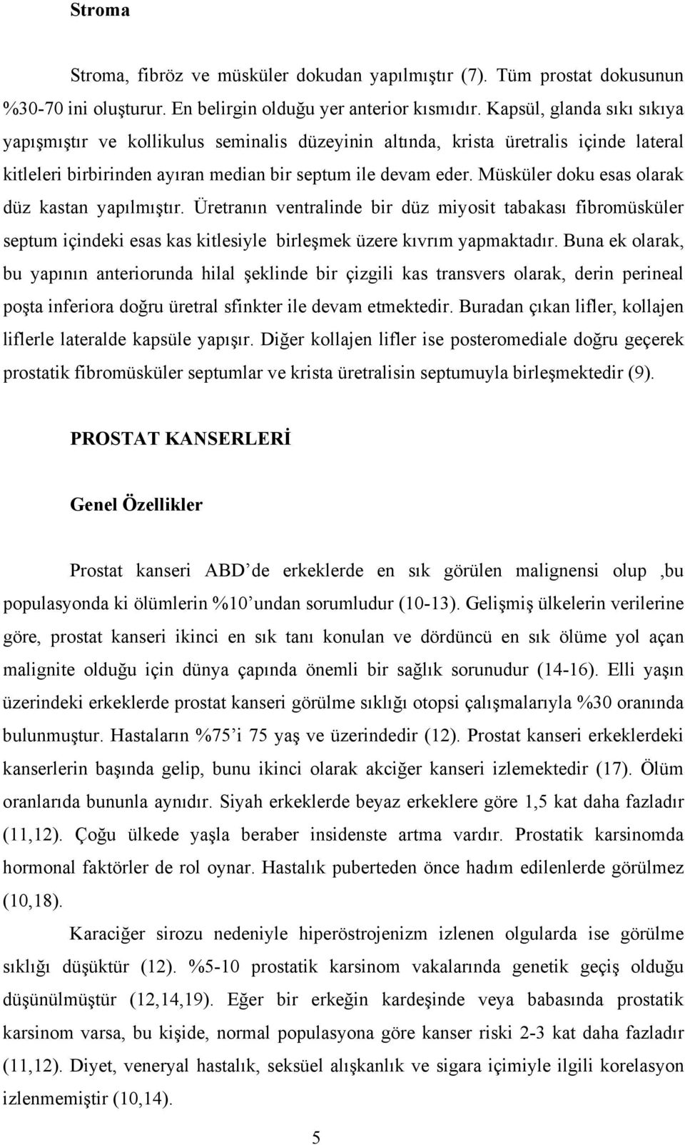 Müsküler doku esas olarak düz kastan yapılmıştır. Üretranın ventralinde bir düz miyosit tabakası fibromüsküler septum içindeki esas kas kitlesiyle birleşmek üzere kıvrım yapmaktadır.