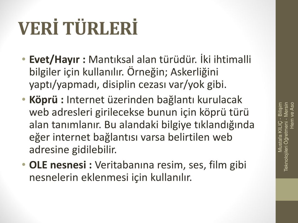 Köprü : Internet üzerinden bağlantı kurulacak web adresleri girilecekse bunun için köprü türü alan tanımlanır.