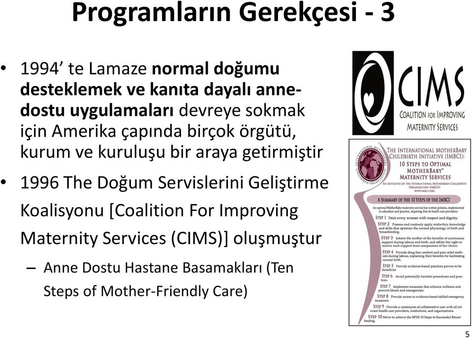 getirmiştir 1996 The Doğum Servislerini Geliştirme Koalisyonu [Coalition For Improving