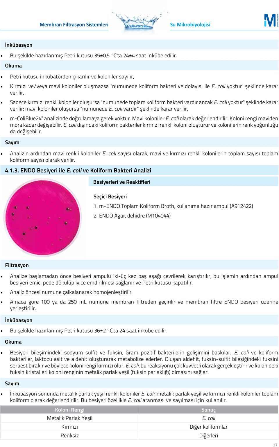 coli yoktur" şeklinde karar verilir, Sadece kırmızı renkli koloniler oluşursa "numunede toplam koliform bakteri vardır ancak E.