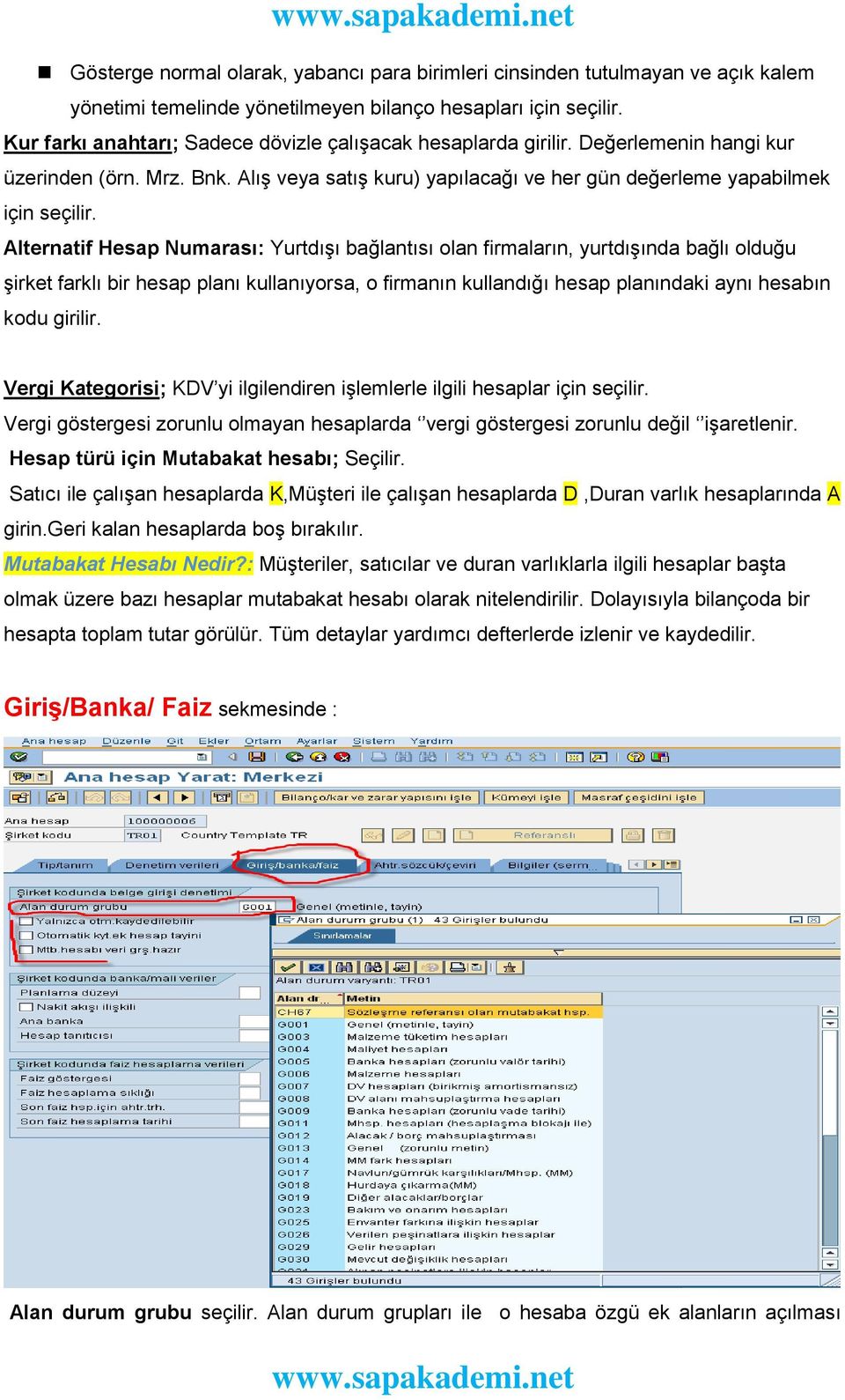 Alternatif Hesap Numarası: Yurtdışı bağlantısı olan firmaların, yurtdışında bağlı olduğu şirket farklı bir hesap planı kullanıyorsa, o firmanın kullandığı hesap planındaki aynı hesabın kodu girilir.