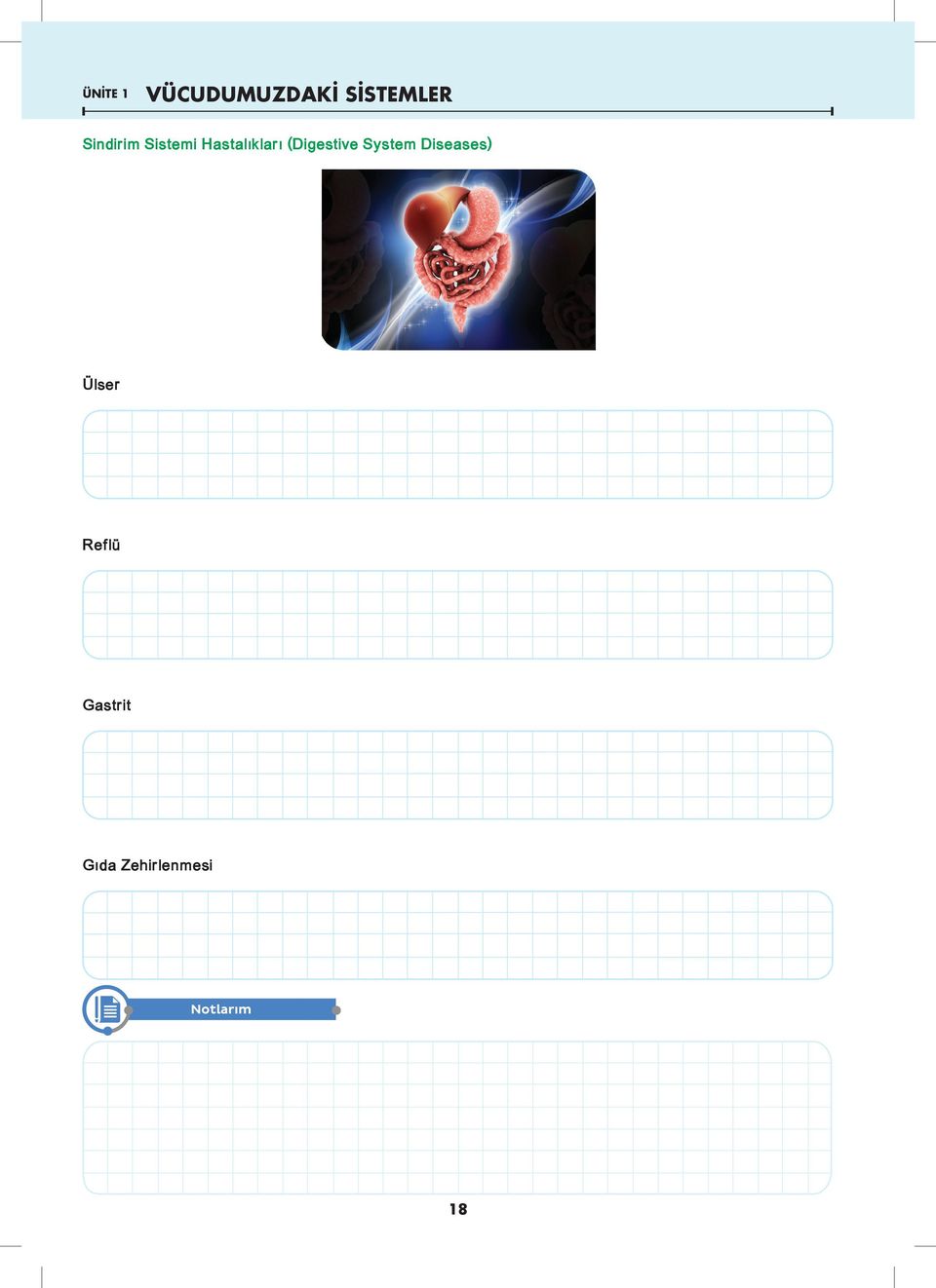 (Digestive System Diseases)