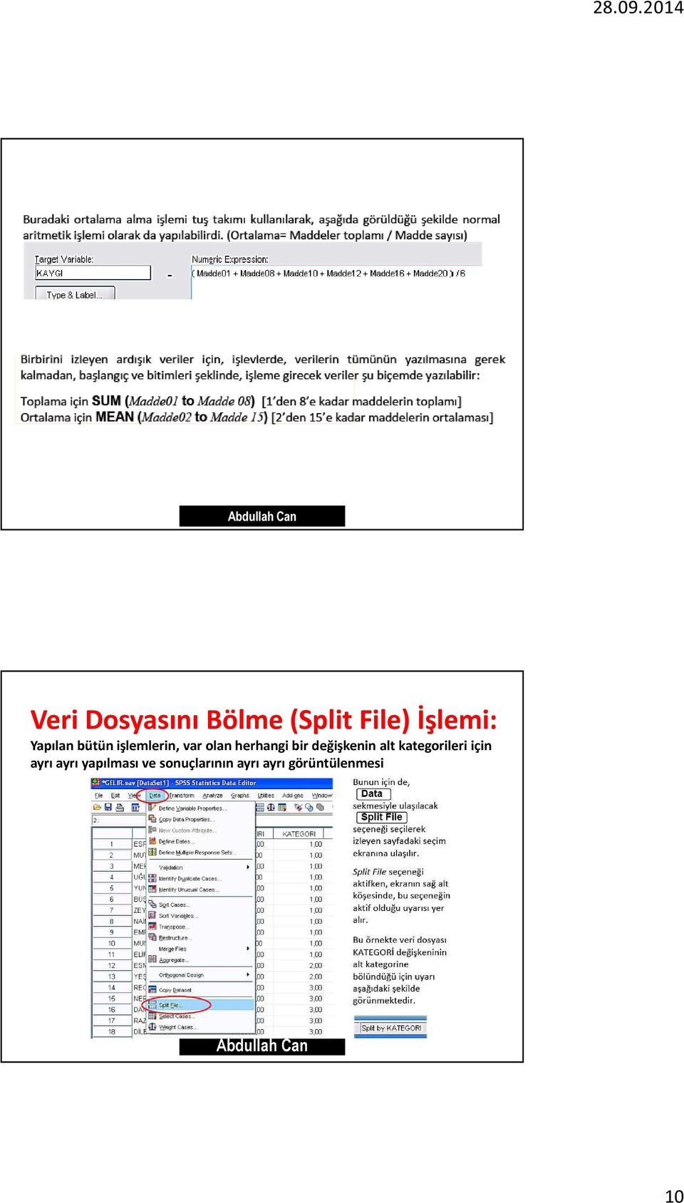 bir değişkenin alt kategorileri için ayrı ayrı