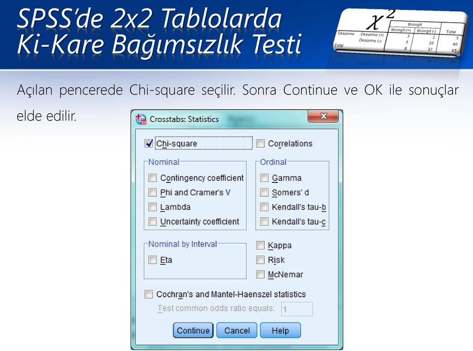 Chi-square seçilir.