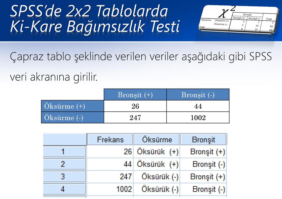 SPSS veri akranına girilir.