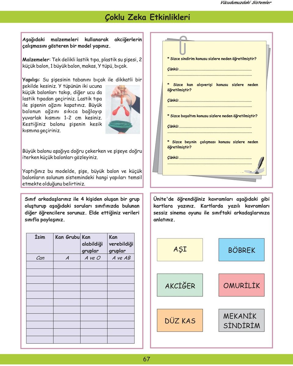 Y tüpünün iki ucuna küçük balonları takıp, diğer ucu da lastik tıpadan geçiriniz. Lastik tıpa ile şişenin ağzını kapatınız. Büyük balonun ağzını sıkıca bağlayıp yuvarlak kısmını 1-2 cm kesiniz.