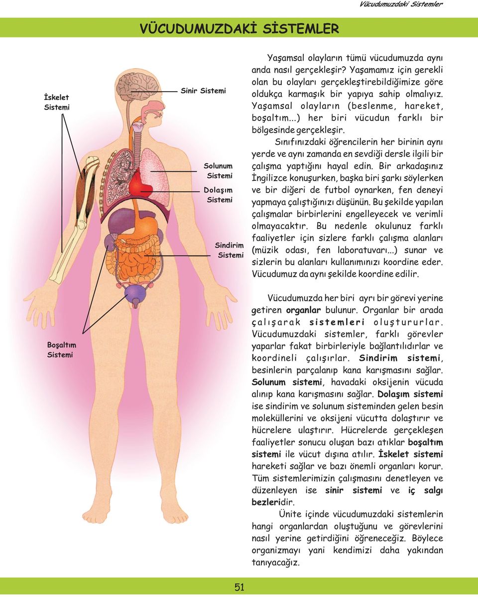 ..) her biri vücudun farklı bir bölgesinde gerçekleşir. Sınıfınızdaki öğrencilerin her birinin aynı yerde ve aynı zamanda en sevdiği dersle ilgili bir Solunum çalışma yaptığını hayal edin.