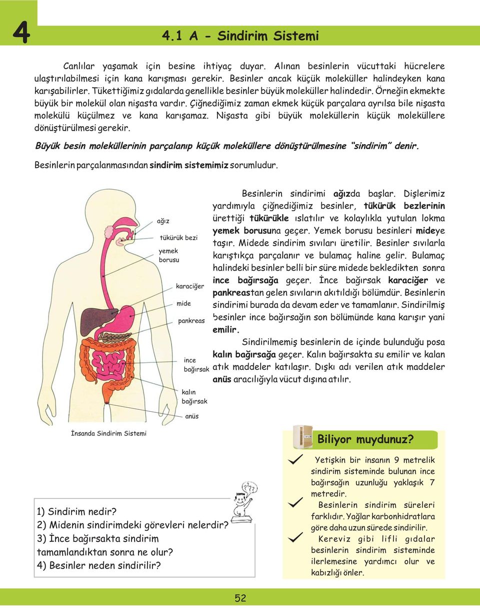 Çiğnediğimiz zaman ekmek küçük parçalara ayrılsa bile nişasta molekülü küçülmez ve kana karışamaz. Nişasta gibi büyük moleküllerin küçük moleküllere dönüştürülmesi gerekir.