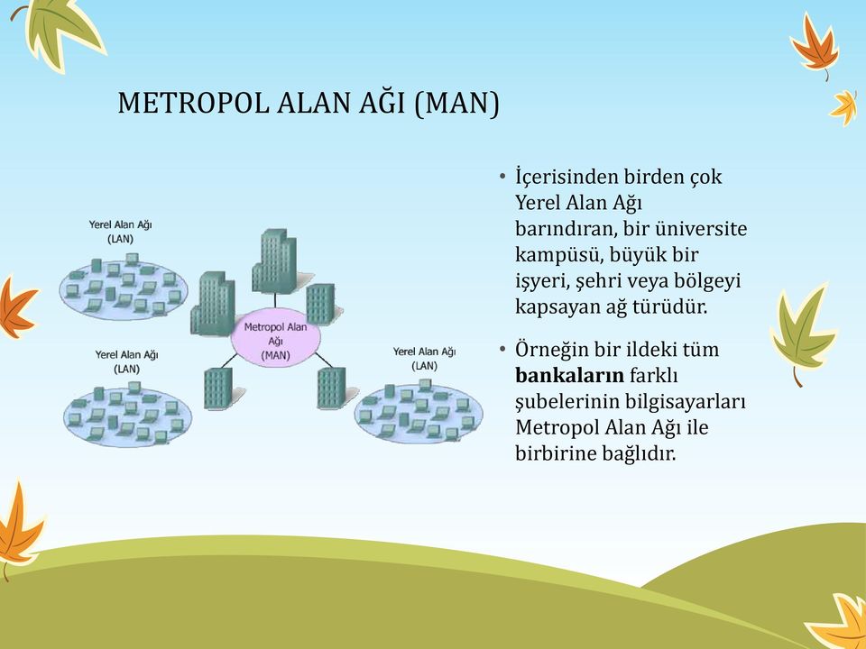 bölgeyi kapsayan ağ türüdür.