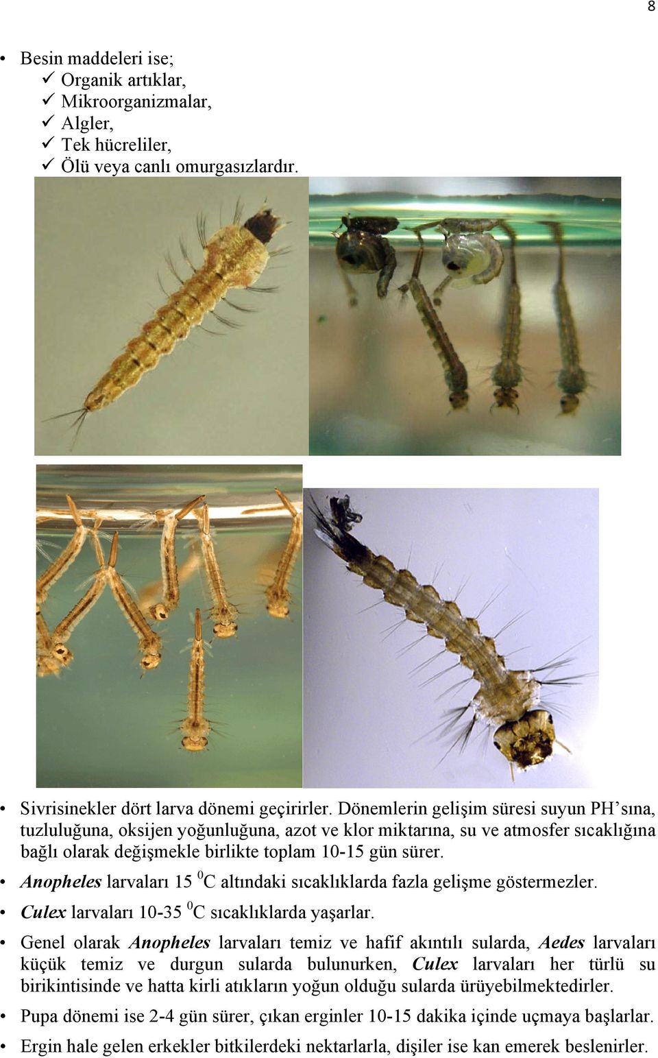 Anopheles larvaları 15 0 C altındaki sıcaklıklarda fazla gelişme göstermezler. Culex larvaları 10-35 0 C sıcaklıklarda yaşarlar.