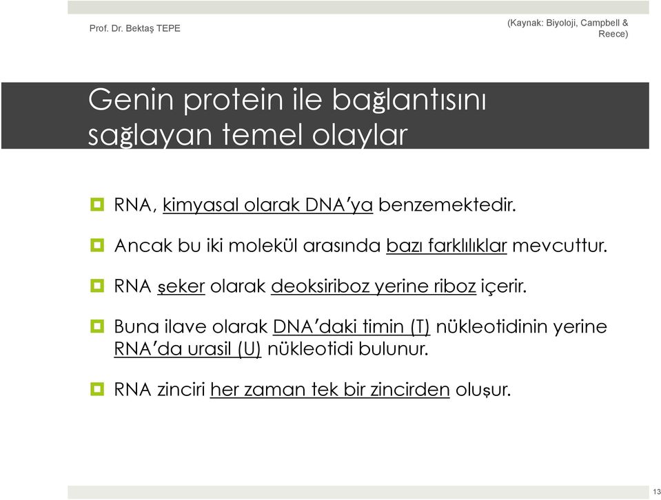 RNA şeker olarak deoksiriboz yerine riboz içerir.