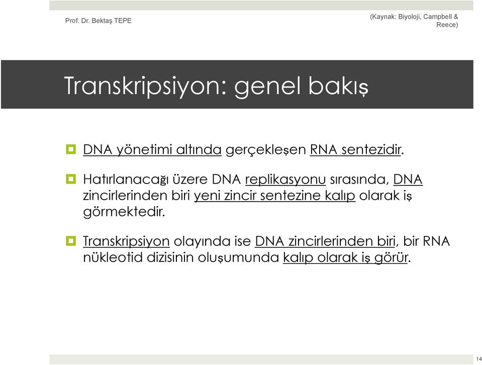 zincir sentezine kalıp olarak iş görmektedir.