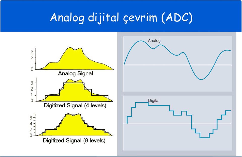 çevrim