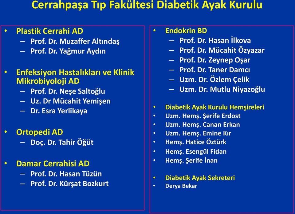 Dr. Hasan İlkova Prof. Dr. Mücahit Özyazar Prof. Dr. Zeynep Oşar Prof. Dr. Taner Damcı Uzm. Dr. Özlem Çelik Uzm. Dr. Mutlu Niyazoğlu Diabetik Ayak Kurulu Hemşireleri Uzm.