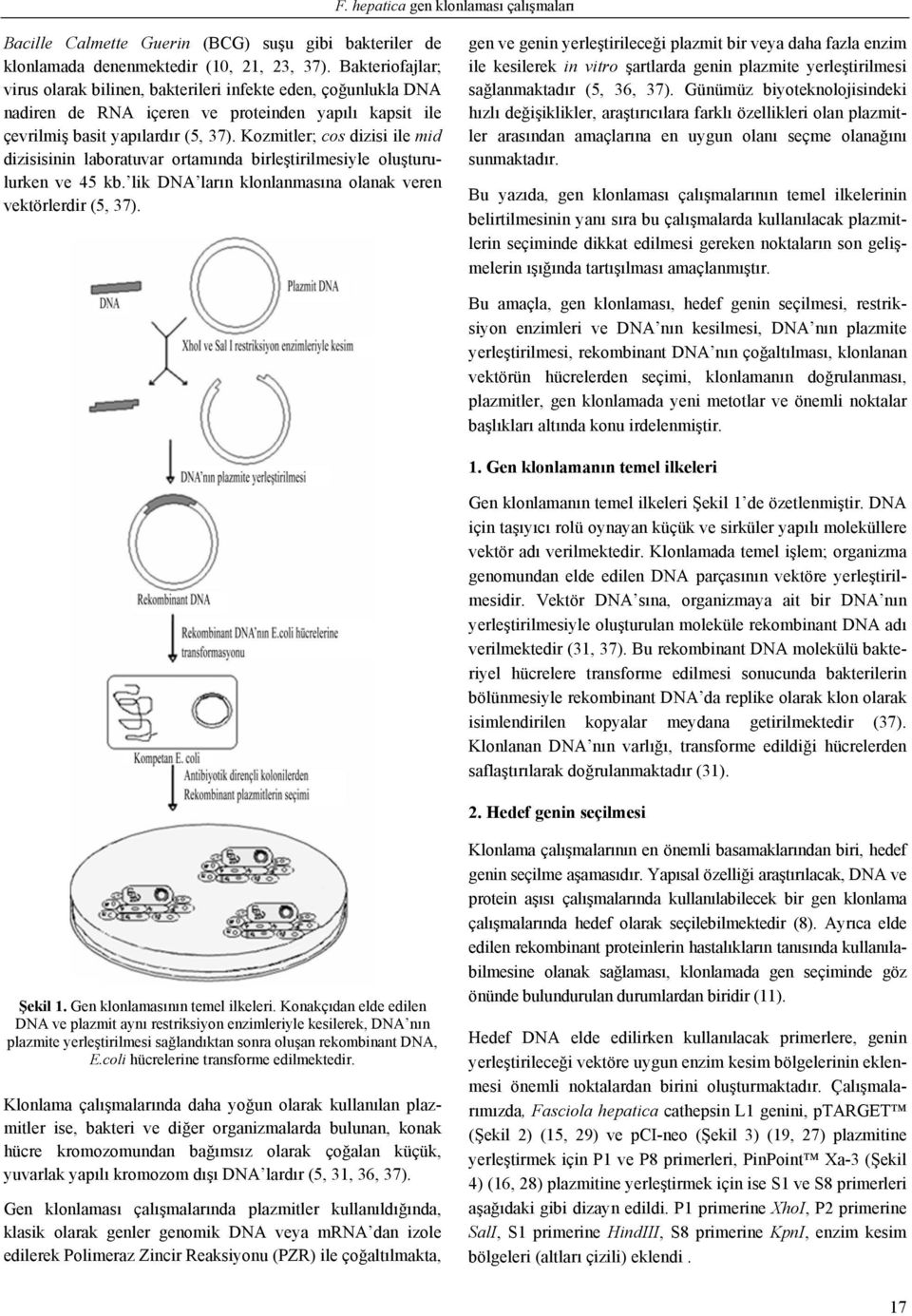 Kozmitler; cos dizisi ile mid dizisisinin laboratuvar ortamında birleştirilmesiyle oluşturulurken ve 45 kb. lik DNA ların klonlanmasına olanak veren vektörlerdir (5, 37).